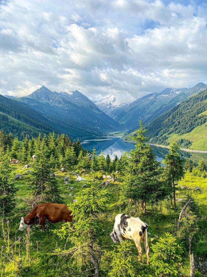 Schmezlhof Zell am Ziller